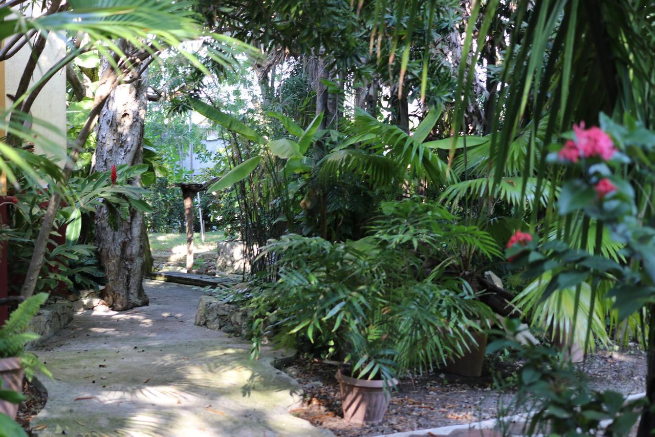 Casa Kin33 Bed & Breakfast Cancun Luaran gambar