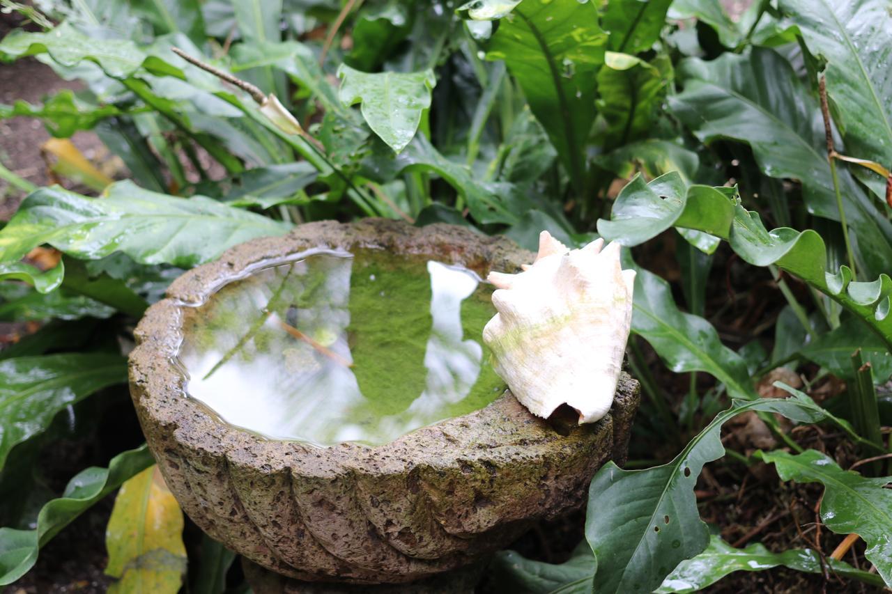 Casa Kin33 Bed & Breakfast Cancun Luaran gambar