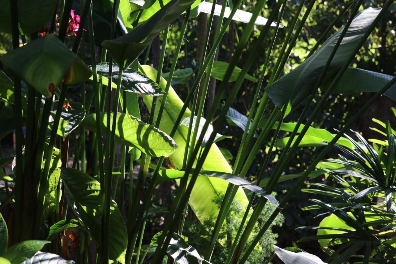 Casa Kin33 Bed & Breakfast Cancun Luaran gambar