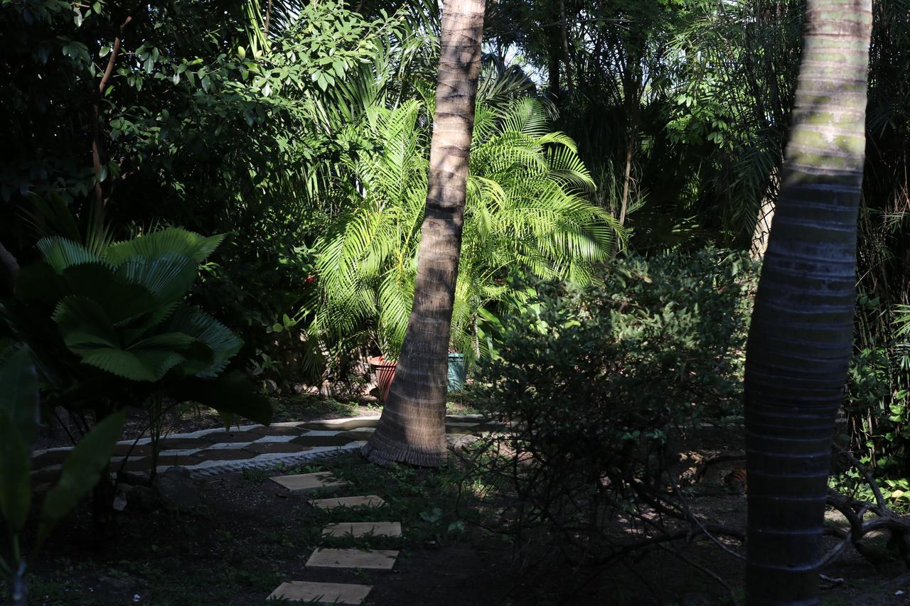 Casa Kin33 Bed & Breakfast Cancun Luaran gambar