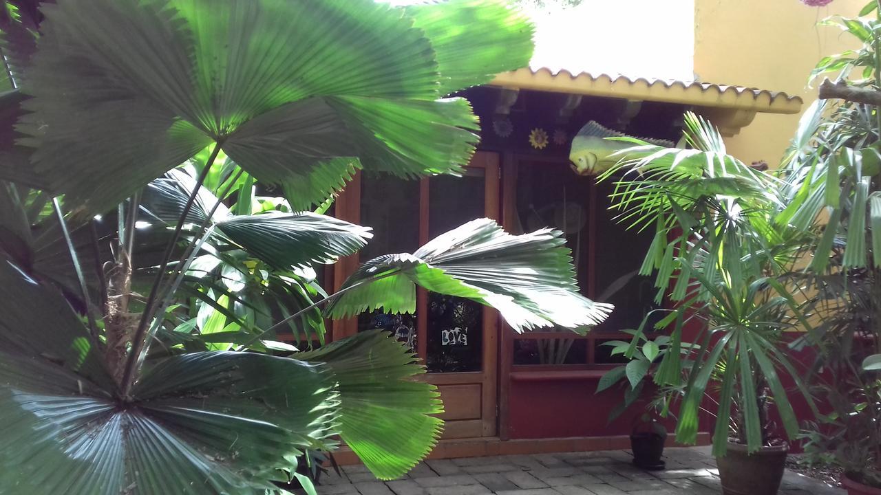 Casa Kin33 Bed & Breakfast Cancun Luaran gambar