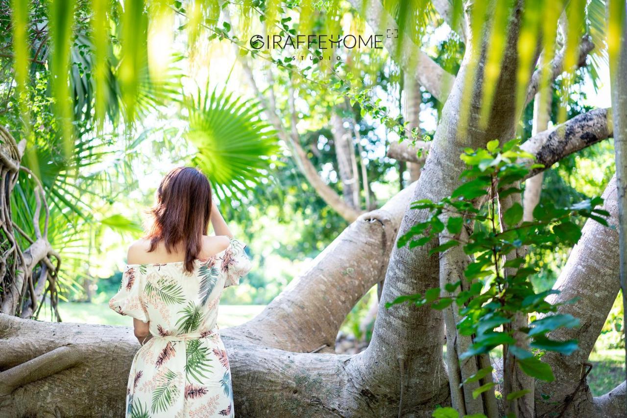 Casa Kin33 Bed & Breakfast Cancun Luaran gambar