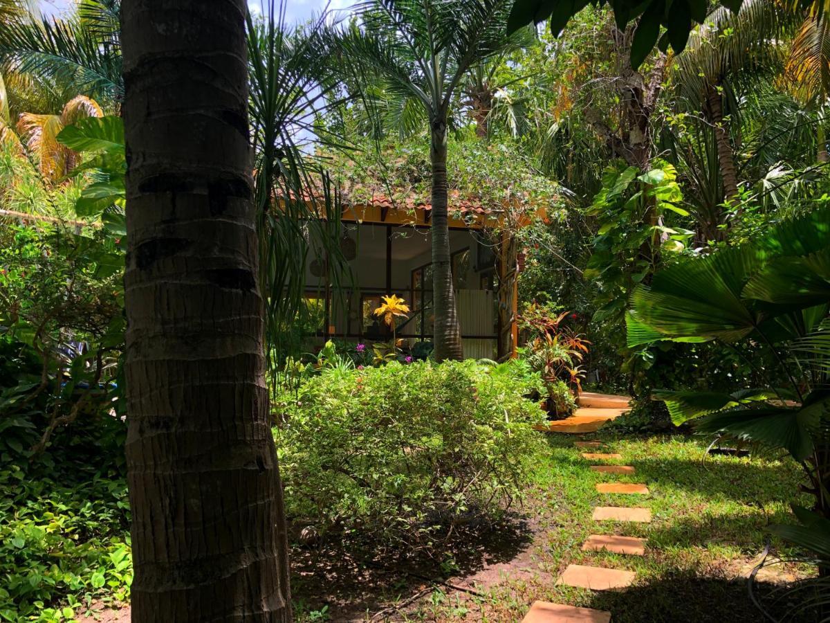Casa Kin33 Bed & Breakfast Cancun Luaran gambar